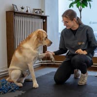 Agathe Libert-Coubard - Ostéopathie Animale Lyon 