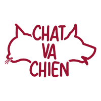 Chatvachien