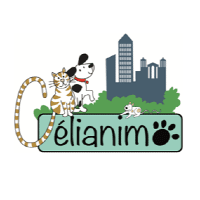 Célianimo