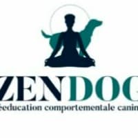 Zendog 